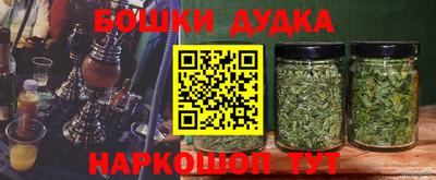 apvp Лесосибирск