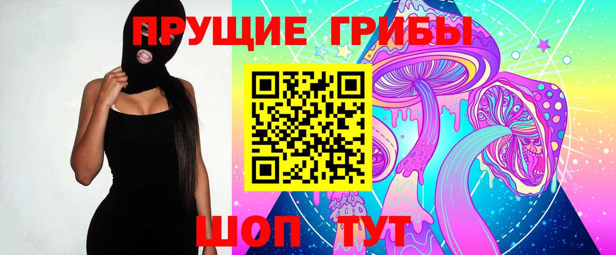 Псилоцибиновые грибы Psilocybe  Вход с VPN  Ишим 