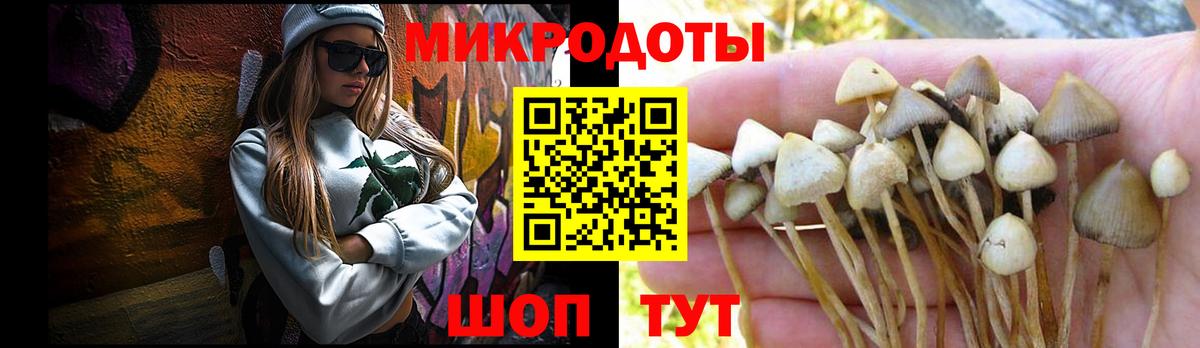 Псилоцибиновые грибы Psilocybine cubensis Ишим